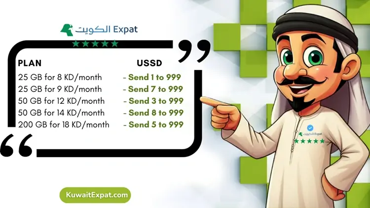 Zain Internet Packages