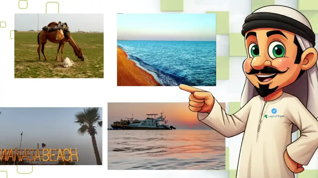 Falaika Island Kuwait: Tickets, Ferry & Complete Visitor Guide Falaika Island Kuwait (3)